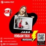 Jasa Pembasmi Tikus di Cirebon Jasa Pengusir Tikus Bekasi Utara