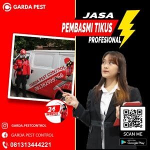 Harga Pembasmi Tikus