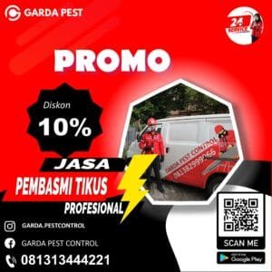 Jasa Pengusir Tikus Area Bontang
