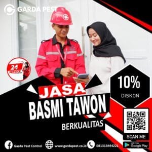 Jasa Pembasmi Tawon Aceh