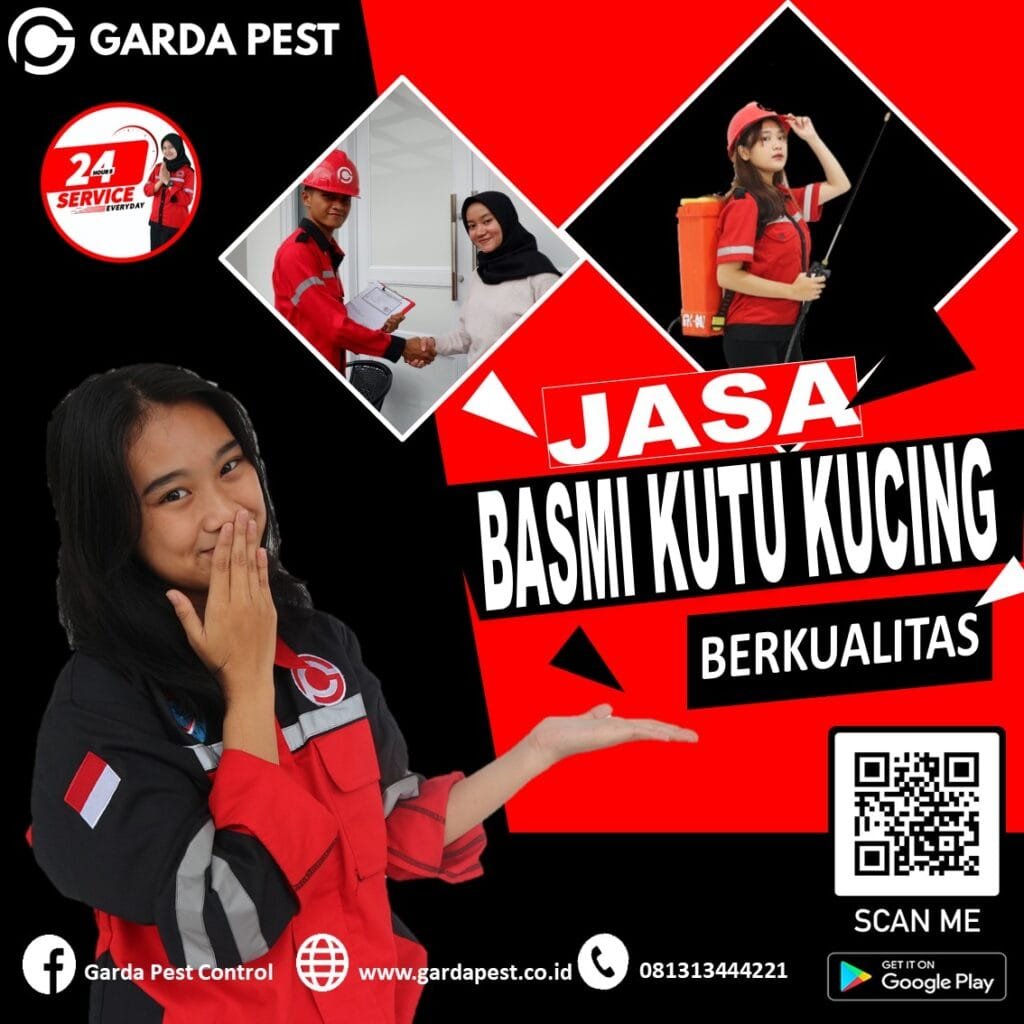 Jasa Pembasmi Kutu Kucing di Cimahi