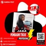 Jasa Pembasmi Tikus di Semarang Jasa Pengusir Tikus Cabang Cilegon