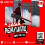 Jasa Fogging Nyamuk di Bali