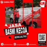 Jasa Pembasmi Kecoa di Tinjomoyo Semarang
