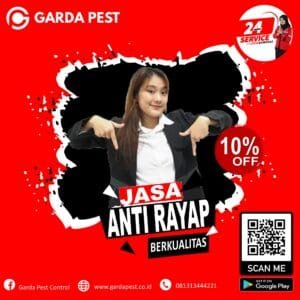 Jasa Pembasmi Rayap di Sidoarjo