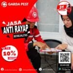 Jasa Anti Rayap di Denpasar Bali
