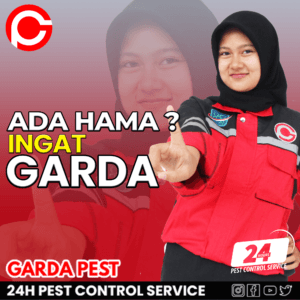 Perbedaan Semut dan Rayap: Kebiasaan dan Cara Mengatasinya