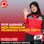 Garda Pest Control Area Sorong Pest Control Terbaik di Semarang Barat
