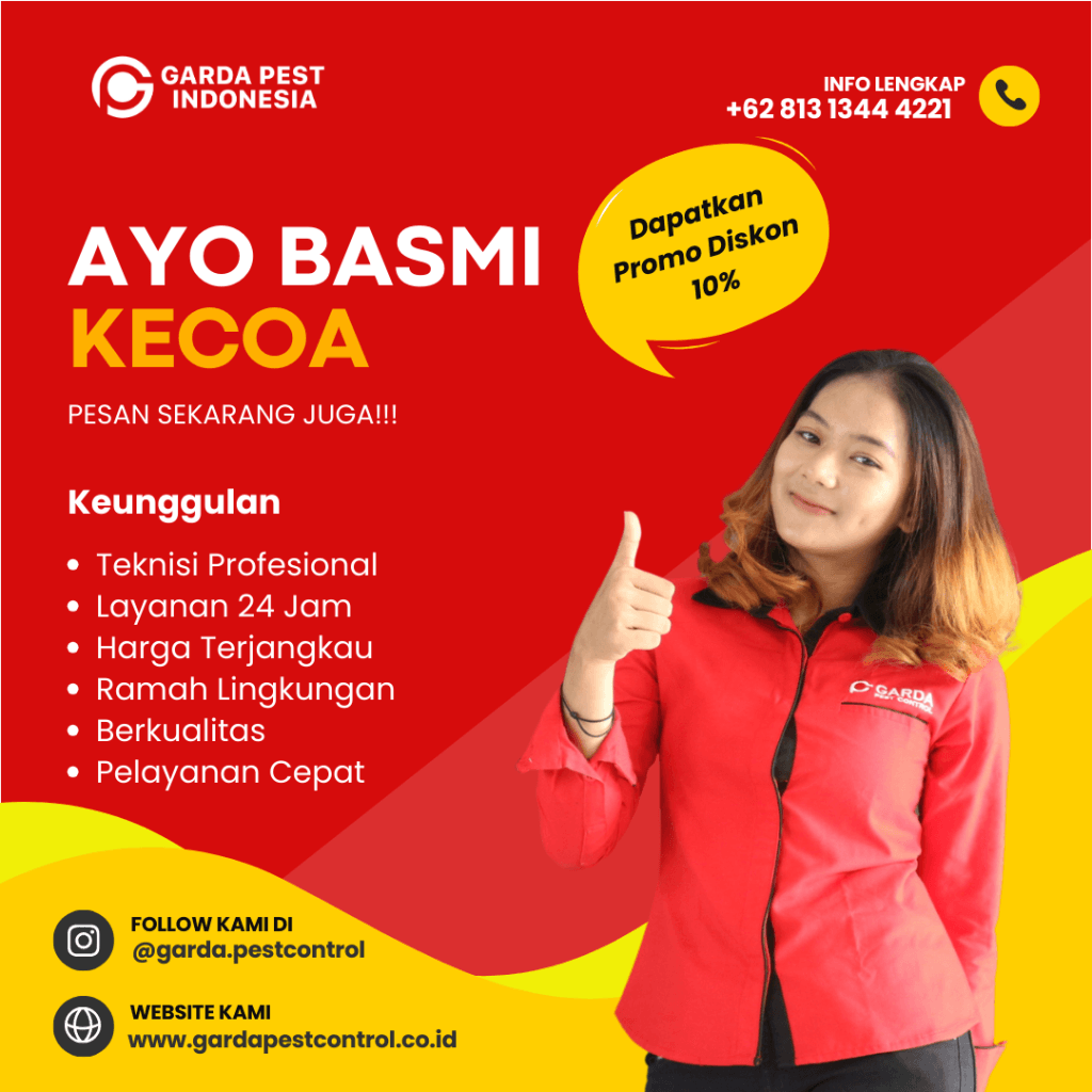 Jasa Pembasmi Kecoa di Dapur