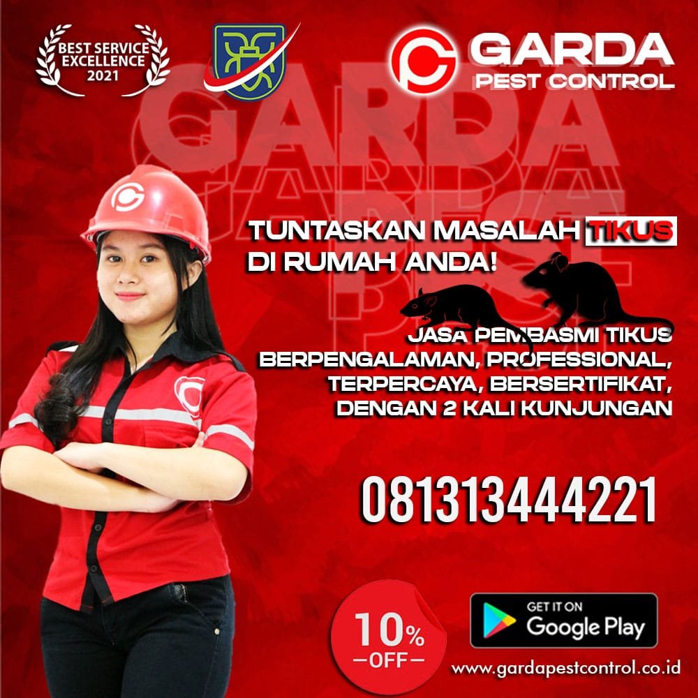 Jasa Pembasmi Tikus di Semarang