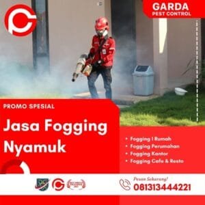 Jasa Fogging Nyamuk di Tegal