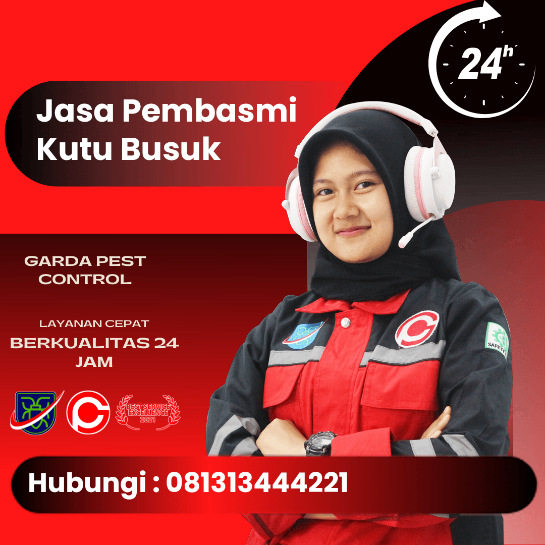 Jasa Pembasmi Kutu Kasur Semarang