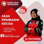 Jasa Basmi Kecoa Terbaru di Bandung Jasa Pembasmi Kecoa Mobil Kuningan