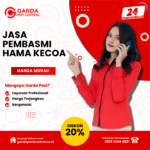 Jasa Pembasmi Kecoa Jambi Jasa Pembasmi Kecoa di Apartemen 24 jam