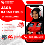 Pengusir Tikus Alami Dan Ampuh Jasa Pembasmi Tikus Terdekat Rodent Control