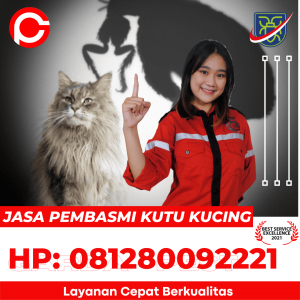 Pembasmi Kutu Kucing di Semarang Kota
