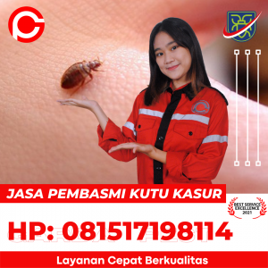 Bedbugs Control di Cirebon