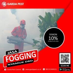 Jasa Fogging Nyamuk Cabang Jambi