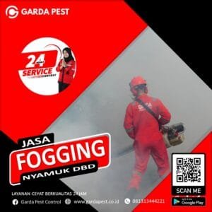 Jasa Fogging Nyamuk DBD di Cikarang