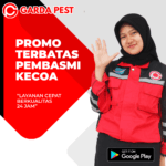Jasa Pembasmi Kecoa Di Mobil Jasa Pembasmi Kecoa di Mobil Apartemen Jakarta