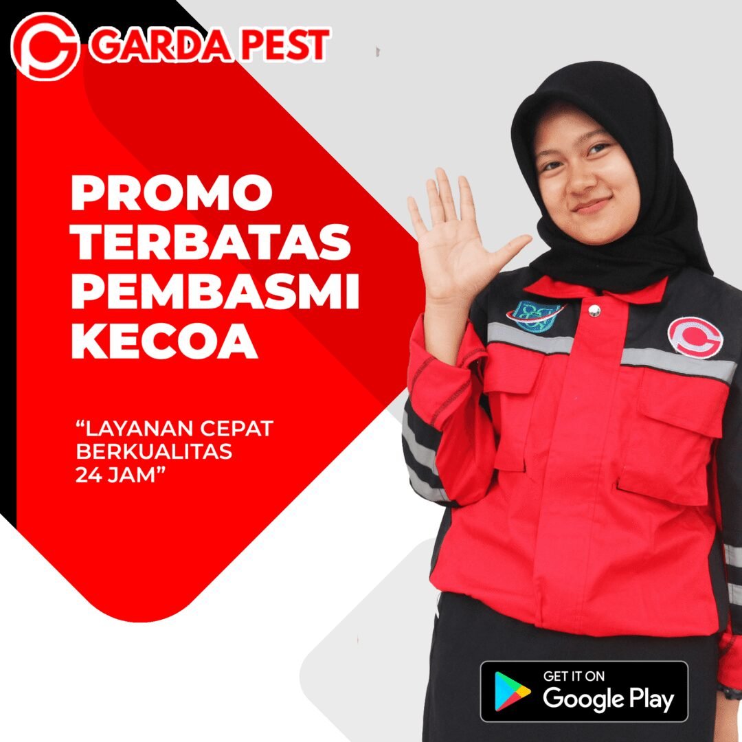 Jasa Pembasmi Kecoa Di Mobil