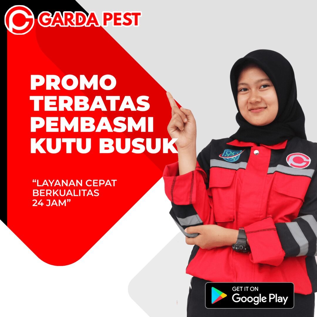 Jasa Pembasmi Kutu Kasur di Jogja