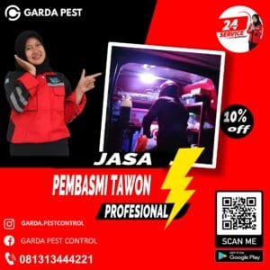 Jasa Pengusir Tawon Cabang Demak