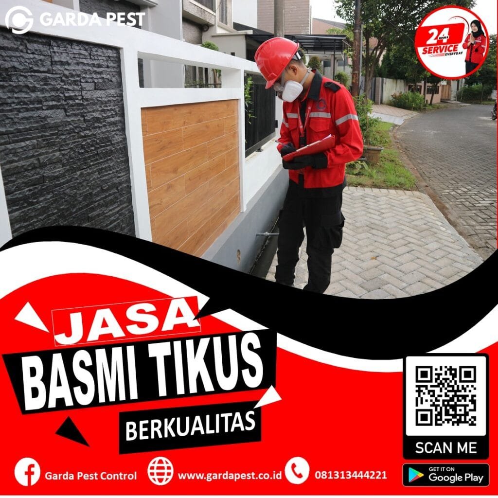 Jasa Pembasmi Tikus Area Samarinda