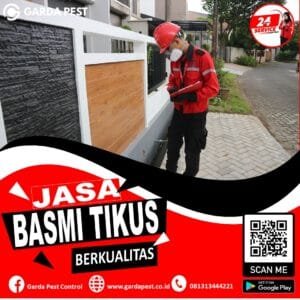 Vendor Pembasmi Tikus