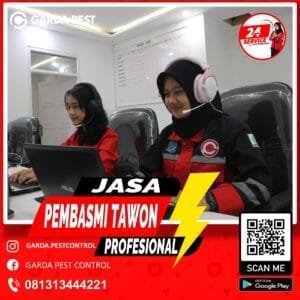 Jasa Pembasmi Tungau