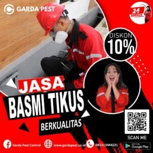 Jasa Pembasmi Tikus Di Purwokerto