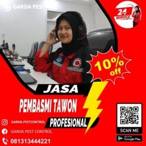 Basmi Tawon Cabang Kuningan