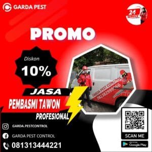 Jasa Pengusir Tawon Tarakan
