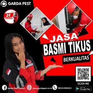 Jasa Pembasmi Tikus Cabang Majalengka

