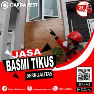 Jasa Pembasmi Tikus Bali