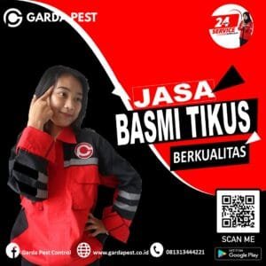 Jasa Pengusir Tikus Area Majalengka