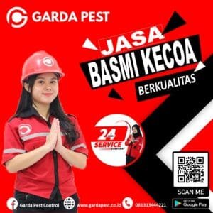 Jasa Pembasmi Kecoa Mobil Tangerang
