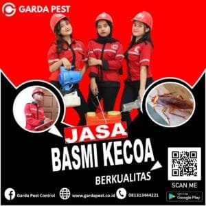 Obat Pembasmi Kecoa Dan Semut