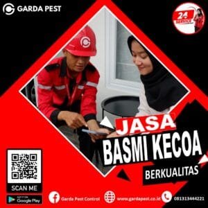 Pembasmi Kecoa Padang