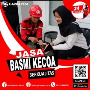 Membasmi Kecoa Di Dapur
