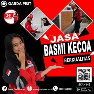 Obat Pembasmi Hama Kecoa