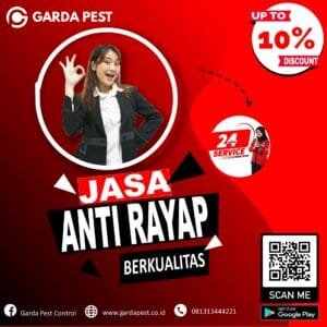 Pembasmi Rayap di Jember