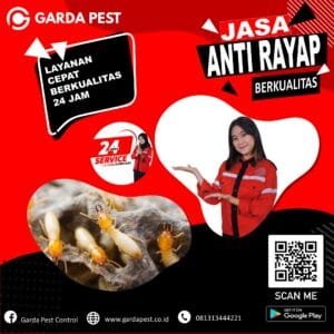 Pembasmi Rayap Area Purwokerto