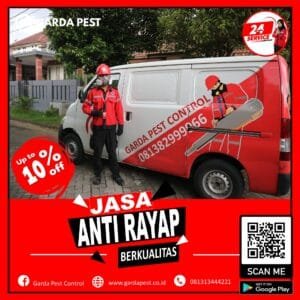 Jasa Suntik Rayap di Bandung Kidul