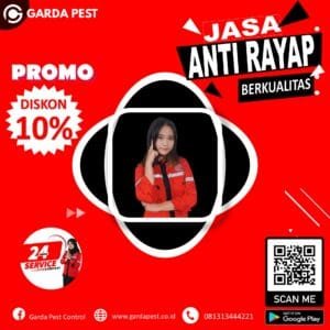 Jasa Suntik Rayap Aceh