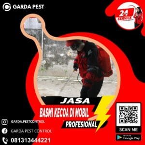 Pembasmi Kecoa Cabang Tarakan