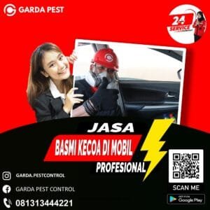 Jasa Pembasmi Kecoa Mobil di Kota Malang