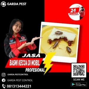Pembasmi Kecoa Area Mojokerto