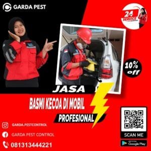 Jasa Pembasmi Kecoa Mobil di Kota Mataram