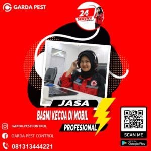 Pembasmi Kecoa Kendari